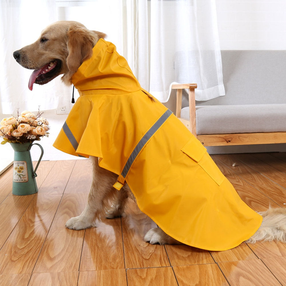 Large Dog Yellow Raincoat